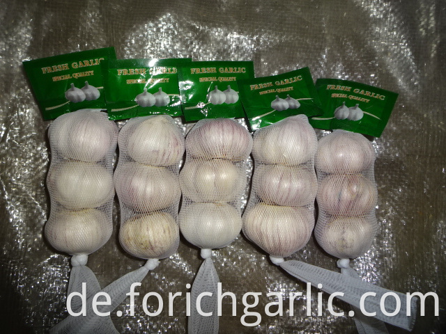 Crop 2019 Normal White Garlic